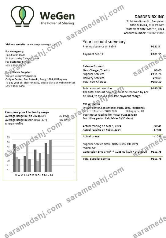 Philippines WeGen Energy Philippines business utility bill template in Word and PDF formats
